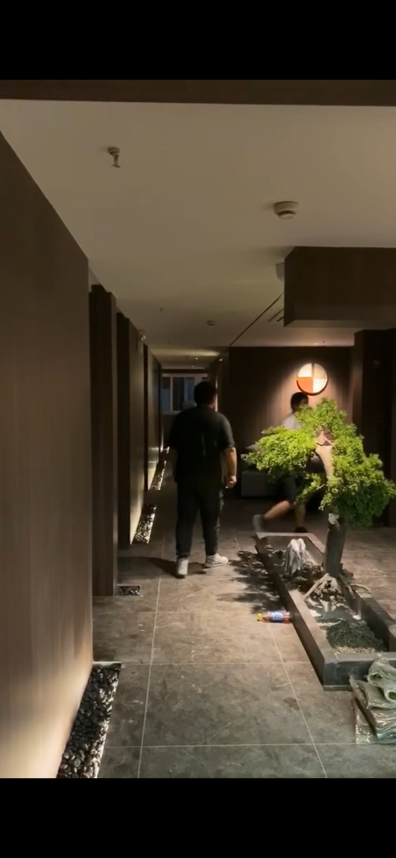 SPA店案例
