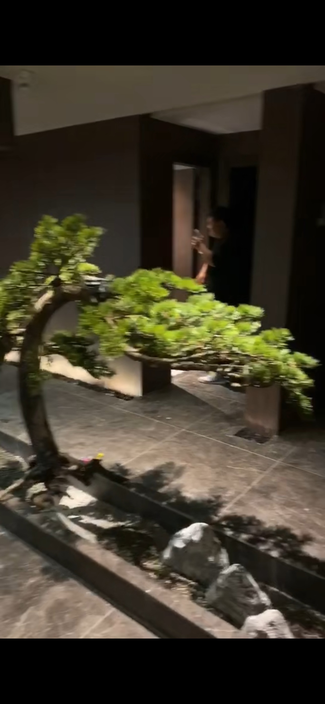 SPA店案例