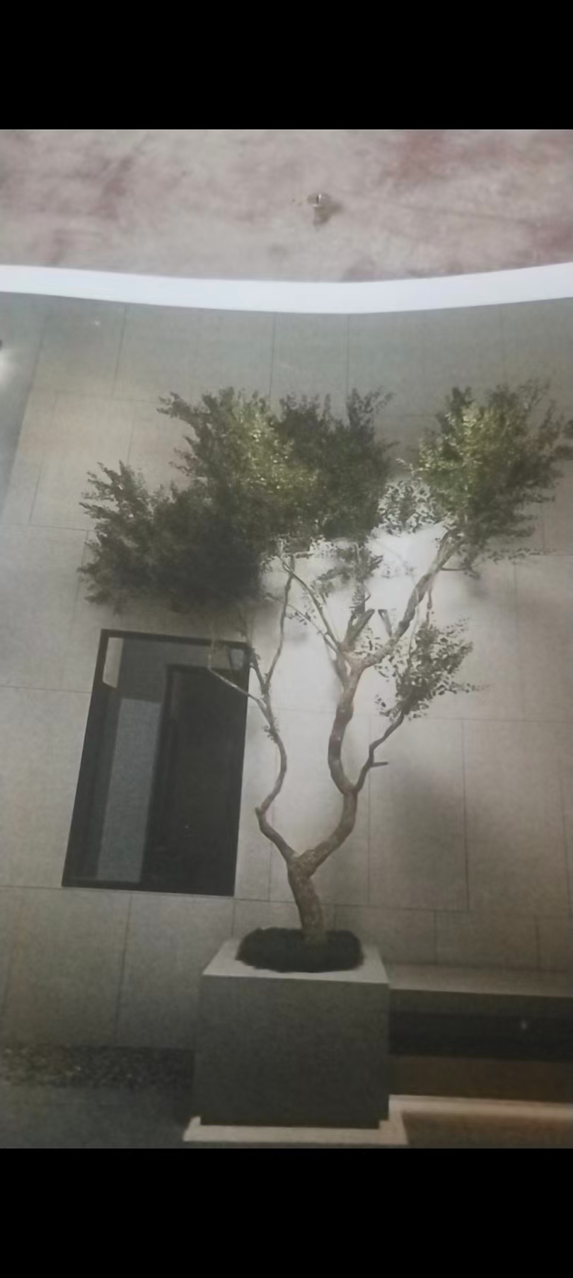 麓府大院精典